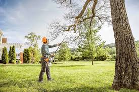 How Our Tree Care Process Works  in Shippensburg, PA